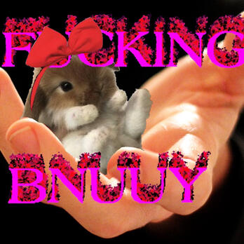 bunny